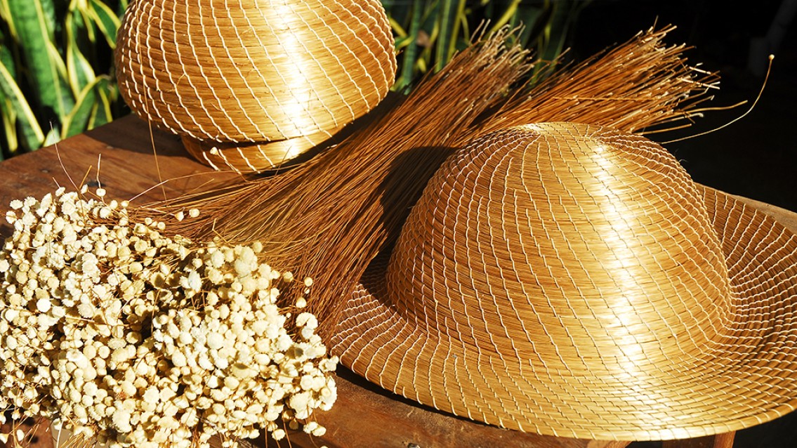 Capim Dourado é a aposta das artesãs de Lagoa do Tocantins